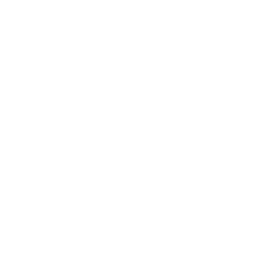 Next.js